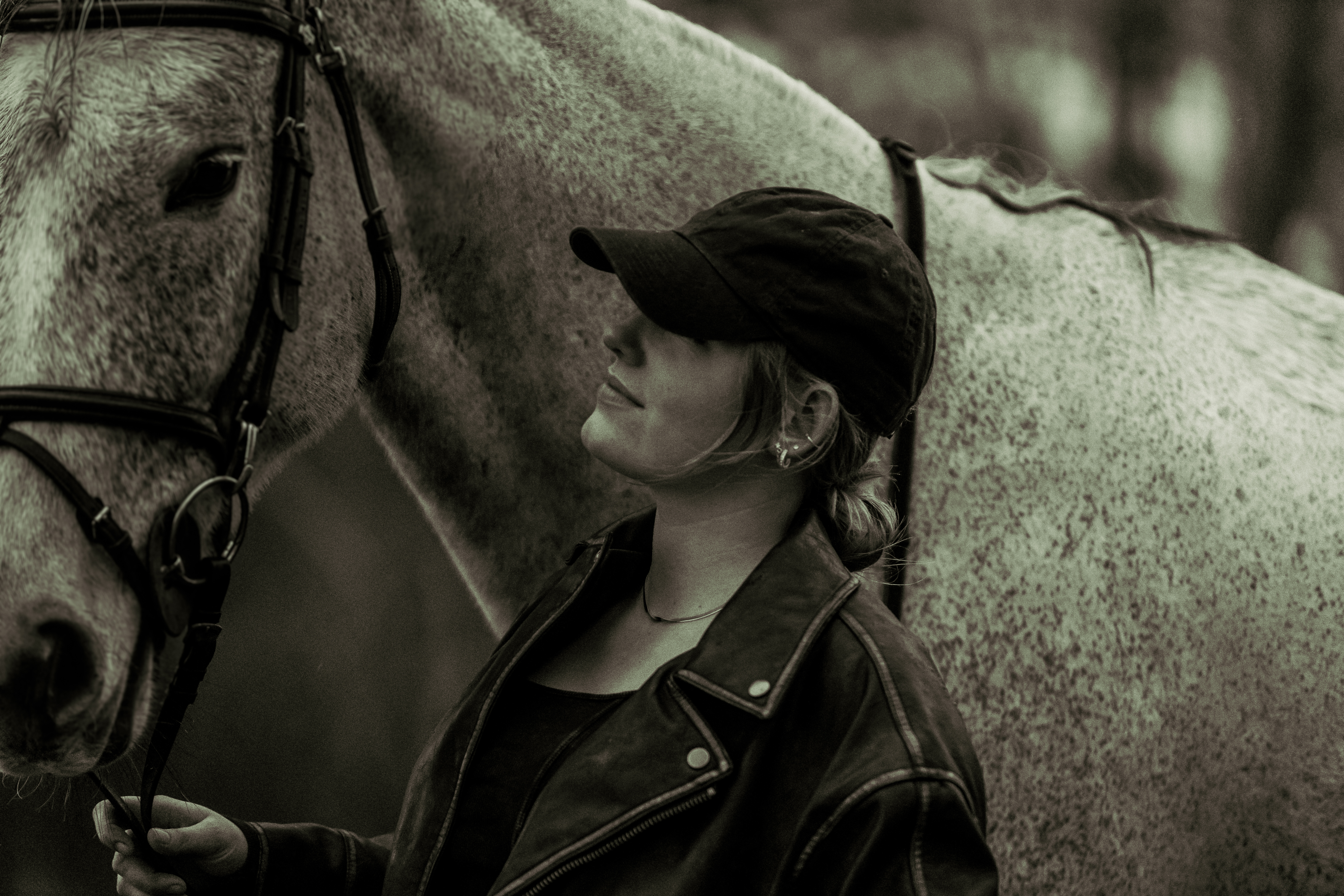 Professional horse training